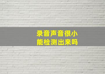 录音声音很小 能检测出来吗